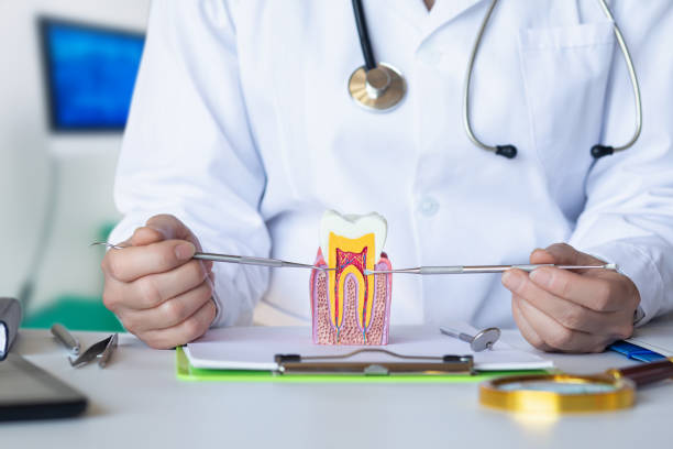 Best Mobile Emergency Dentist in Merrillville, IN